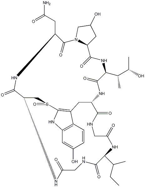 γ-Amanitin结构式