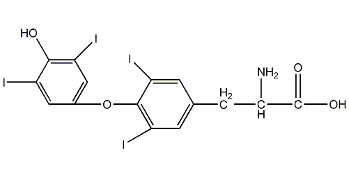 DL-甲状腺素结构式