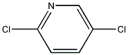 2,5-二氯吡啶结构式