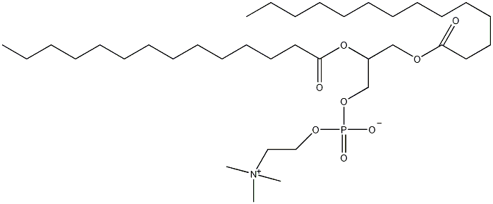 二肉豆蔻酰磷脂酰胆碱结构式