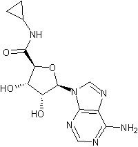 5-(N-环丙基)酰胺酰酐结构式