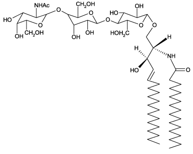 神经节苷酯GM<sub>2</sub>结构式