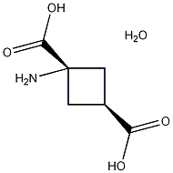 1-Aminocyclobutane-cis-1,3-dicarboxylic acid