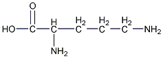 L-鸟氨酸结构式
