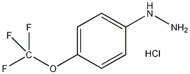 对三氟甲氧基苯肼盐酸盐结构式