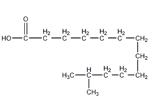 12-Methyl-tridecanoic acid