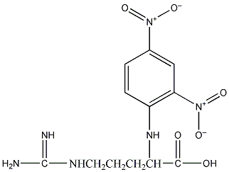 Nα-2,4-二硝基苯-L-精氨酸结构式