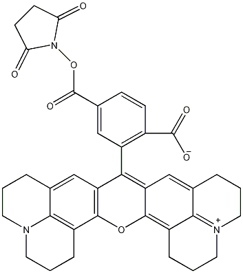 6-Carboxy-X-rhodamine N-succinimidyl ester