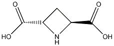 反式吖丁啶-2,4-二羧酸结构式