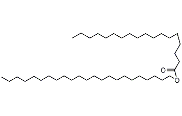 十九(烷)酸二十二烷酯结构式