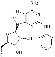 2-苯基氨基腺苷结构式