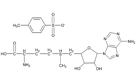 S-adenosyl methionione