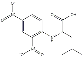 N-2,4-二硝基苯-L-亮氨酸结构式