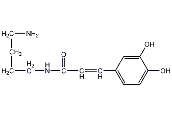 咖啡酰丁二胺结构式