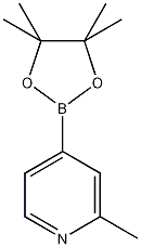 2-Methylpyridine-4-boronic acid pinacol ester