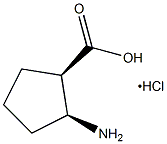 顺-2-氨基-1-环戊羧酸盐酸盐结构式