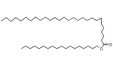 二十八(烷)酸十八烷酯结构式