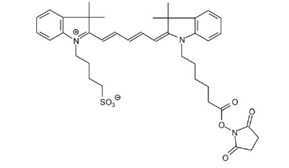 2-(5-[1-[5-(2,5-Dioxo-pyrrolidin-1-yloxycarbonyl)-pentyl]-3,3-dimethyl-1,3-dihydro-indol-2- ylidene]-penta-1,3-dienyl)-3,3-dimethyl-1-(4-sulfobutyl)-4,5-dihydro-3H-indolium hydroxide, inner salt
