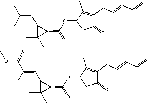 Pyrethrum