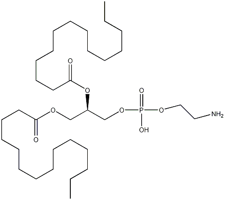 1,2-十四酰基磷脂酰乙醇胺结构式