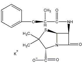 Phenethicillin Potassium