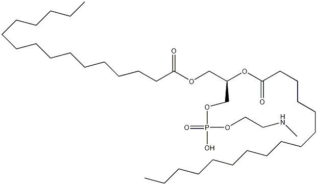 1,2-二棕榈酰-sn-甘油-3-二氧磷基-(N-甲基)-乙醇胺结构式