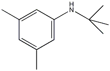 N-叔丁基-3,5-二甲基苯胺结构式