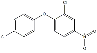 2,4-二氯-4-硝基二苯基醚结构式