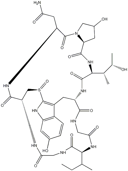γ-鹅膏菌素结构式