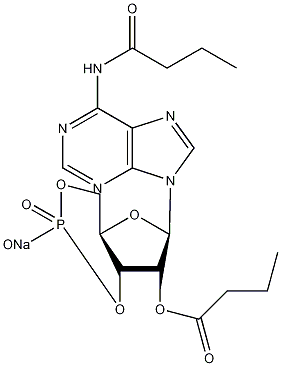 2-丁酰环磷腺酐钠结构式