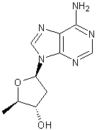 2',5'-二脱氧腺苷结构式