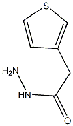 噻吩-3-醋酸肼结构式