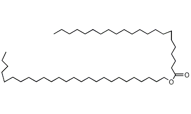 Hexacosanyl behenate