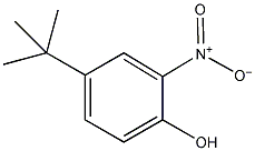 4-叔丁基-2-硝基苯酚结构式
