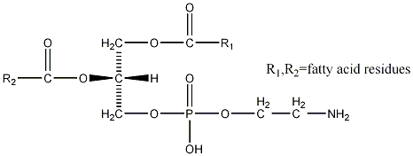 磷脂酰乙醇胺结构式